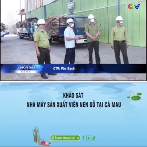 nhien-lieu-sinh-hoc-hieu-qua-ben-vung-va-tiet-kiem